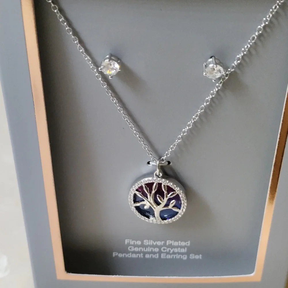 💮 Believe by Brilliance Women's Necklace and earring set - Picture 4 of 4